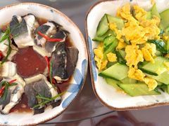 -悦芽照护月嫂+育儿嫂(杭州店)