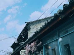 -喵屿·大理花园猫咖