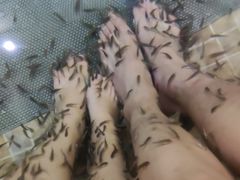 -中家鑫园温泉酒店鑫悦汤泉