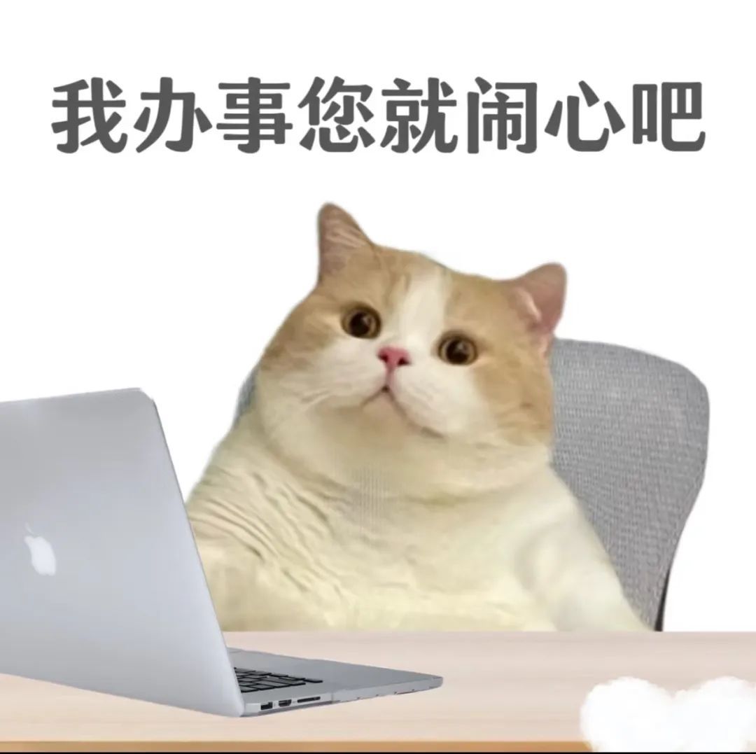 猫咪表情包大放送