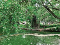 -人民公园(罗湖区)