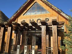 -黑瞎子岛探秘野熊园