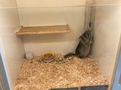 -龙猫仔乐园(惠福东路店)