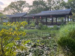 -江心屿景区