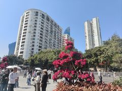 -厦门大学(思明校区)
