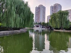 -团结湖公园
