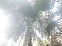 -仁爱团泊湖温泉中心