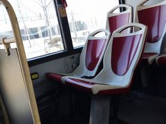-BUS TOUR观光巴士