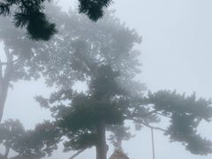 -妙峰山风景名胜区