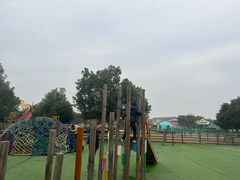 -苏州太湖西山岛开心农场