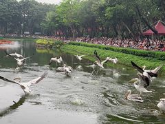 -广州长隆飞鸟乐园