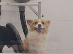 -comecome来吧宠物(奥克斯中心店)