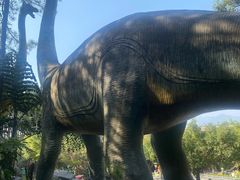 -森波拉火山温泉