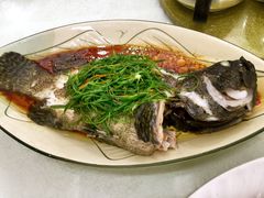 -渔人码头(洛溪店)