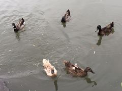 iphone_upload_pic-上海怡沁园度假酒店