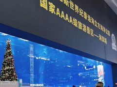 -成都浩海立方海洋公园