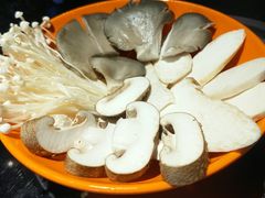 -城南老友羊蝎子火锅(花乡奥莱店)