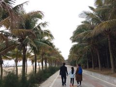 -放鸡岛生态旅游国际度假区