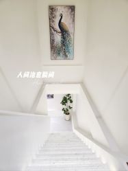 -皙塑美肤·spa