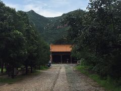 -康陵正德春饼宴26号
