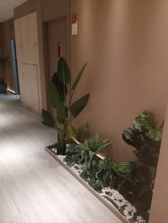 -丽都整形美容医院·全国连锁旗舰店