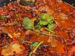 -雀蓝川菜(奥体广场店)