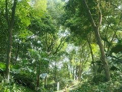 -成都市活水公园