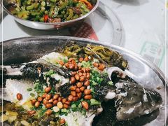-石岐乳鸽村(南海第三分店)