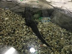 -苏州海洋馆