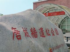 -唐城墙遗址公园