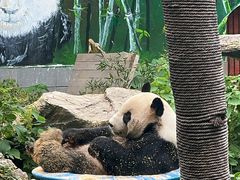 -南昌动物园