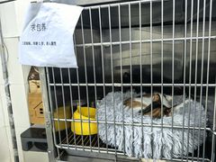 -北京赛佳动物医院