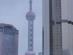 -黄浦江游览快线(金陵东路码头)