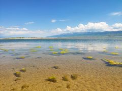 -青海湖国家重点风景名胜区