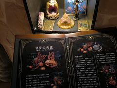 -雪灵魔法世界SHELLY’S TAROT(大良桂畔里店)