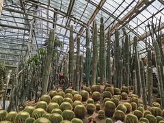 -南山植物园