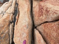 -那琴半岛地质海洋公园