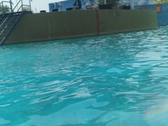 -海盗传奇水世界