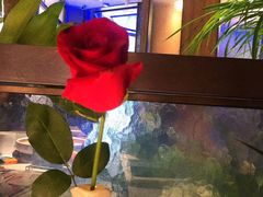 -TZ House音乐现场(来福士中心店)