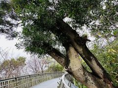 -福道