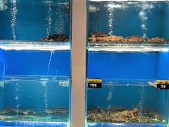 -赶海部落海鲜城(海阳路店)