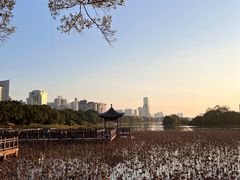 -南宁南湖公园