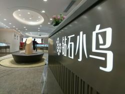 -Zbird钻石小鸟·钻戒婚戒定制高端珠宝私人定制中心