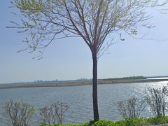 -呼兰河口湿地公园