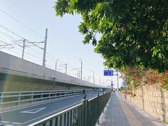 -海堤纪念公园
