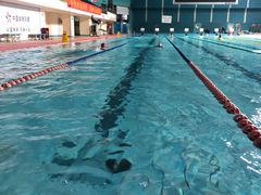 -重庆市奥林匹克体育中心-游泳跳水馆