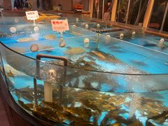 -耕渔小院·湖南鱼鲜(望城店)