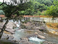 -广州白江湖森林公园