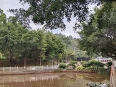 -燕子岭公园