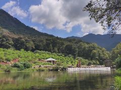 -广州市石门国家森林公园